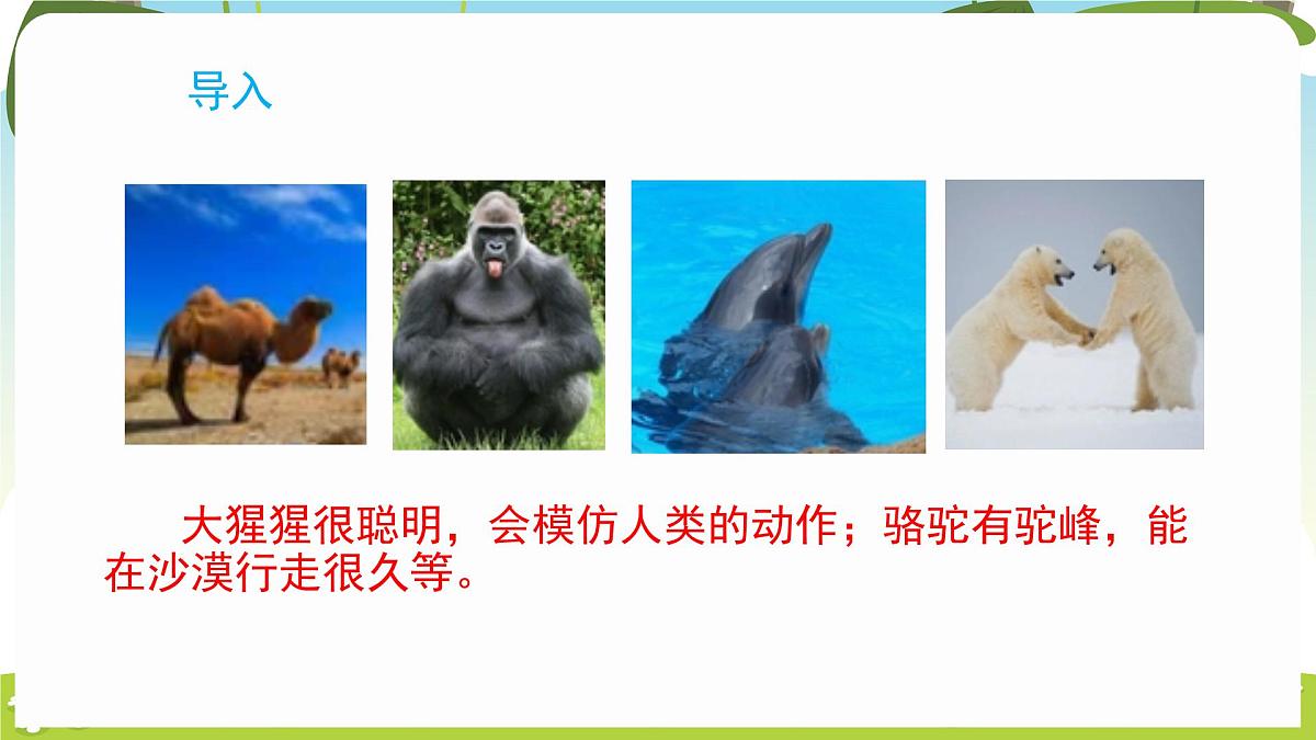 冀人版（2024）科学一年级下册 1.3 比较动物和植物（课件）第3页