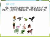 冀人版（2024）科學一年級下冊 1.3 比較動物和植物（課件）