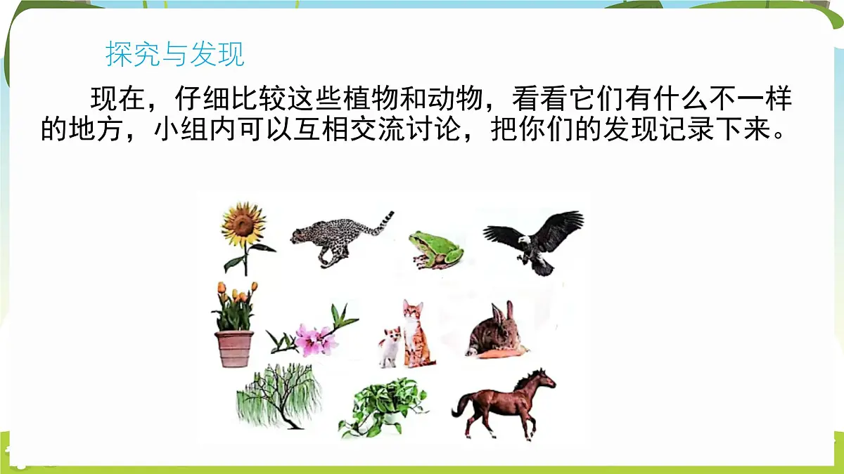 冀人版（2024）科学一年级下册 1.3 比较动物和植物（课件）第4页