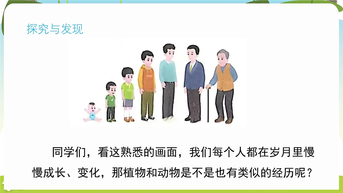 冀人版（2024）科学一年级下册 1.3 比较动物和植物（课件）第6页