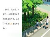 第4課 身邊的植物  課件 科學粵教粵科版（2024）一年級下冊