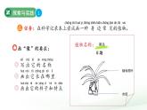 第4課 身邊的植物  課件 科學粵教粵科版（2024）一年級下冊
