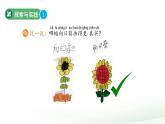 第4課 身邊的植物  課件 科學粵教粵科版（2024）一年級下冊