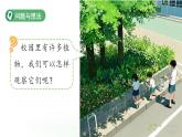 第5課 觀察植物 課件 科學粵教粵科版（2024）一年級下冊