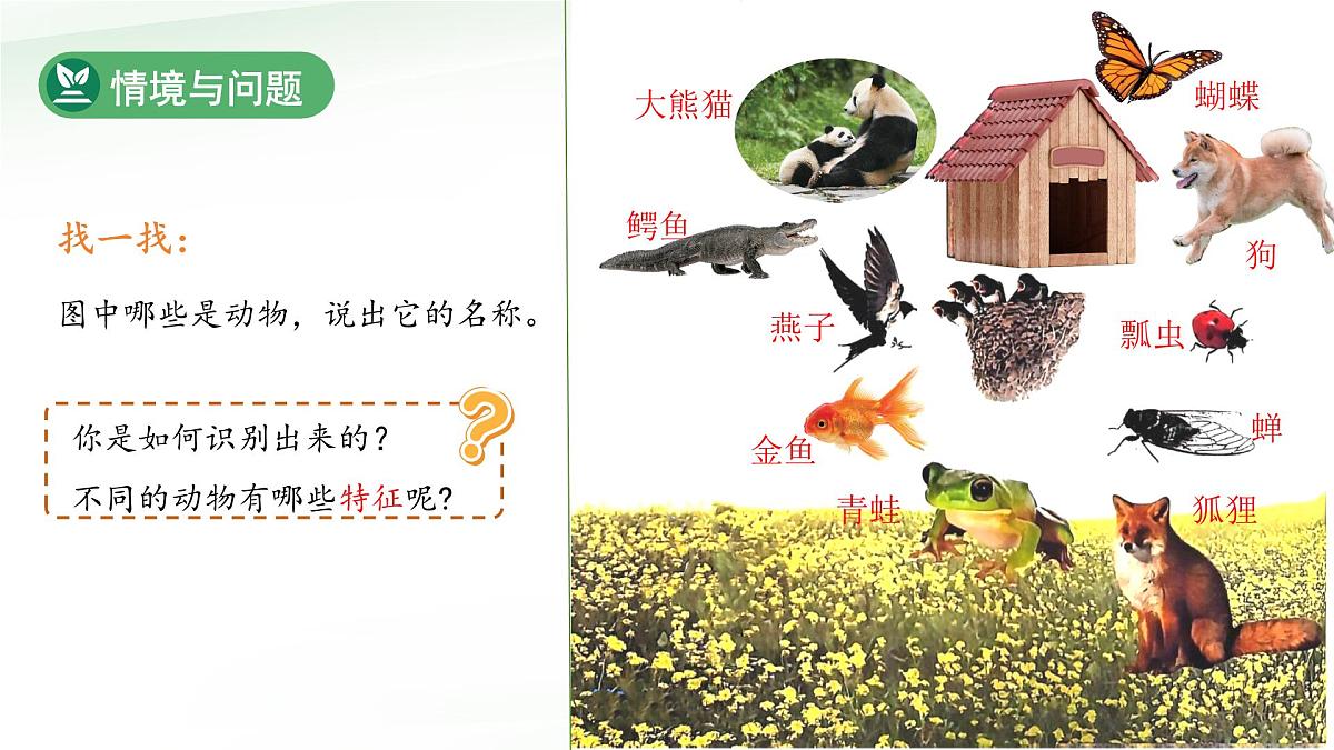 第2课 认识动物 课件 科学冀人版（2024）一年级下册第4页