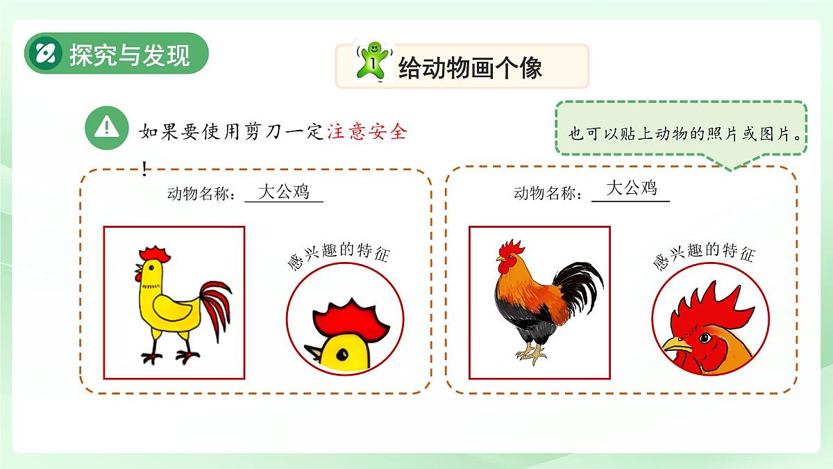 第2课 认识动物 课件 科学冀人版（2024）一年级下册第6页