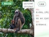 第3課 比較植物和動物 課件 科學冀人版（2024）一年級下冊