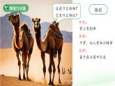 第3課 比較植物和動物 課件 科學冀人版（2024）一年級下冊
