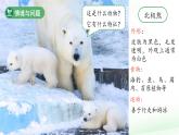 第3課 比較植物和動物 課件 科學冀人版（2024）一年級下冊