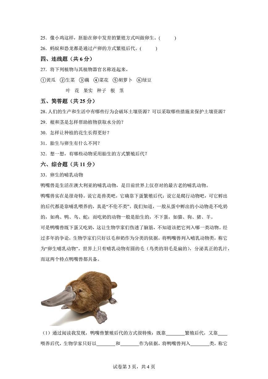 2024-2025学年四年级科学下册期中素养测评卷（冀人版） (2)第3页
