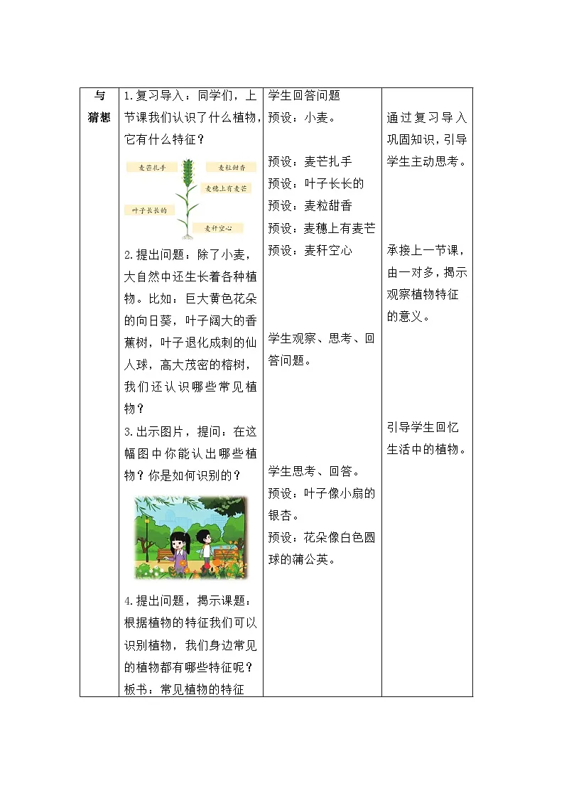 3.2 常见植物的特征 教案 科学大象版（2024）一年级下册第三单元第3页