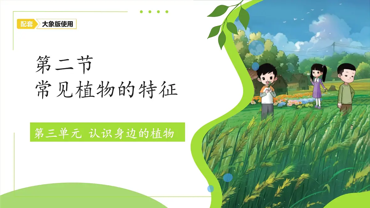 3.2 常见植物的特征 课件 科学大象版（2024）一年级下册第三单元第1页