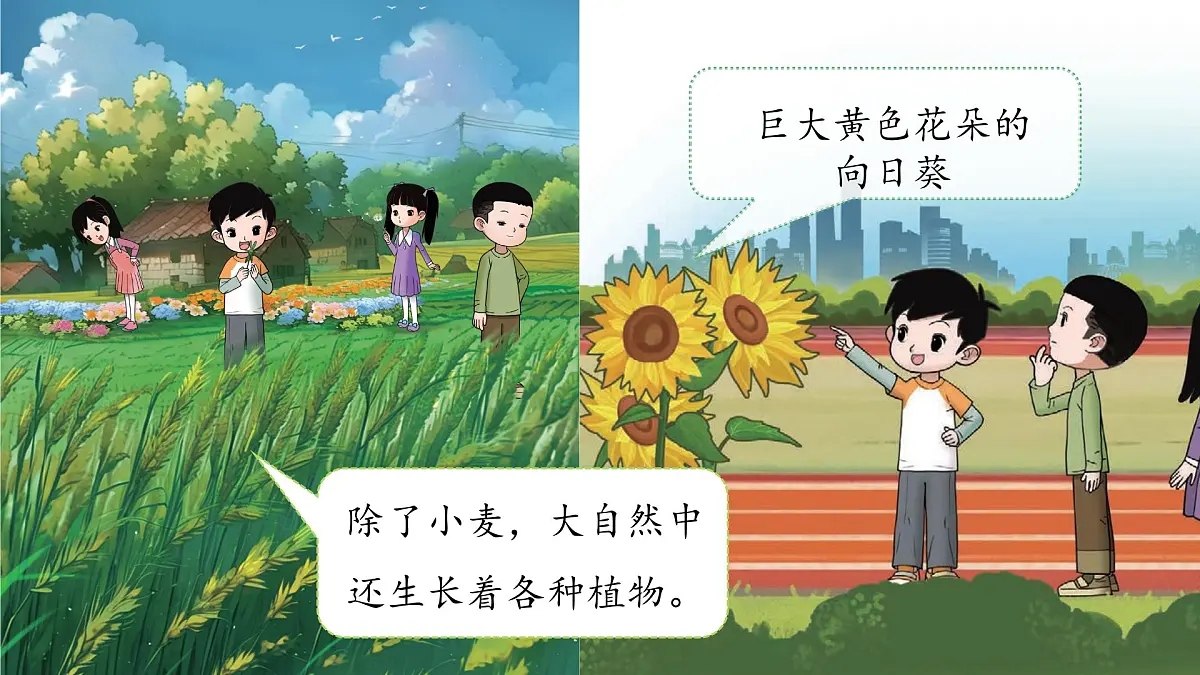 3.2 常见植物的特征 课件 科学大象版（2024）一年级下册第三单元第3页