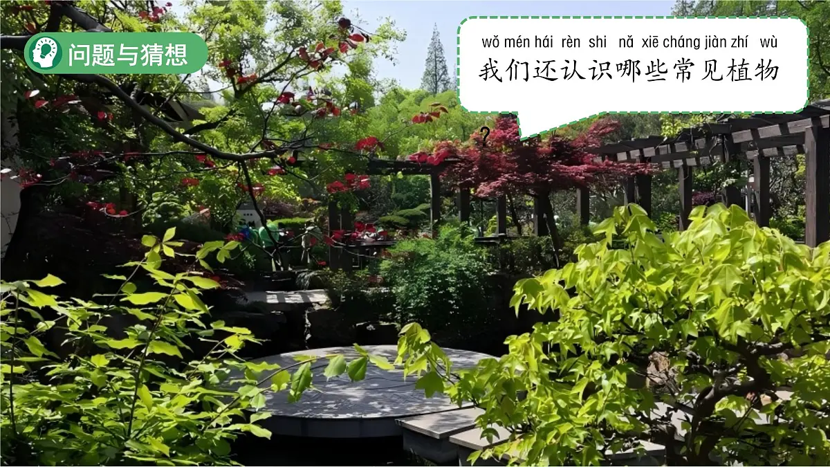 3.2 常见植物的特征 课件 科学大象版（2024）一年级下册第三单元第7页