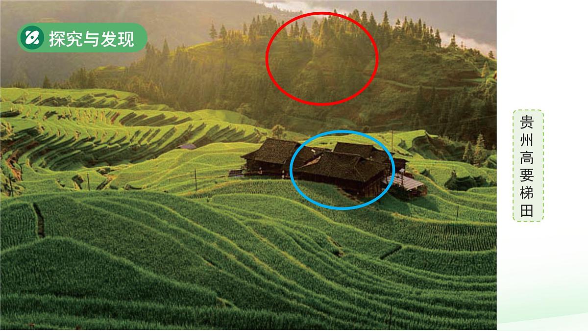 第4课 认识自然物和人造物 课件 科学冀人版（2024）一年级下册第一单元第8页