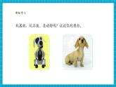 【大單元整體教學】蘇教版科學一年級下冊4.12《動物與植物》課時課件