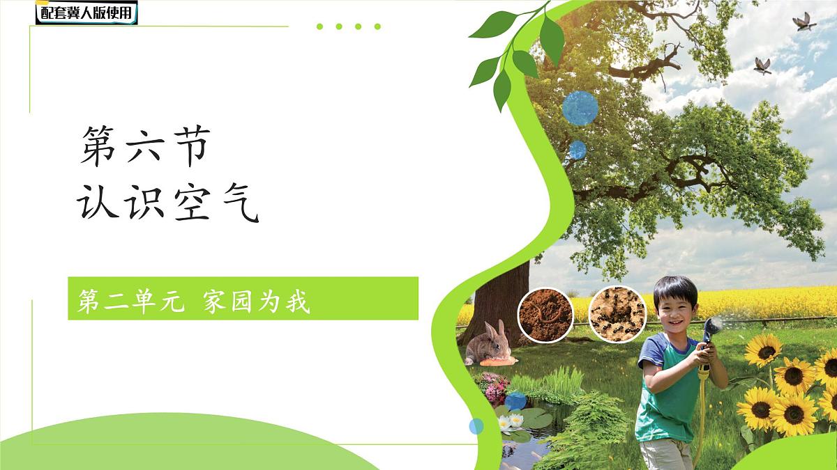 第6课 认识空气 课件 科学冀人版（2024）一年级下册第二单元第1页