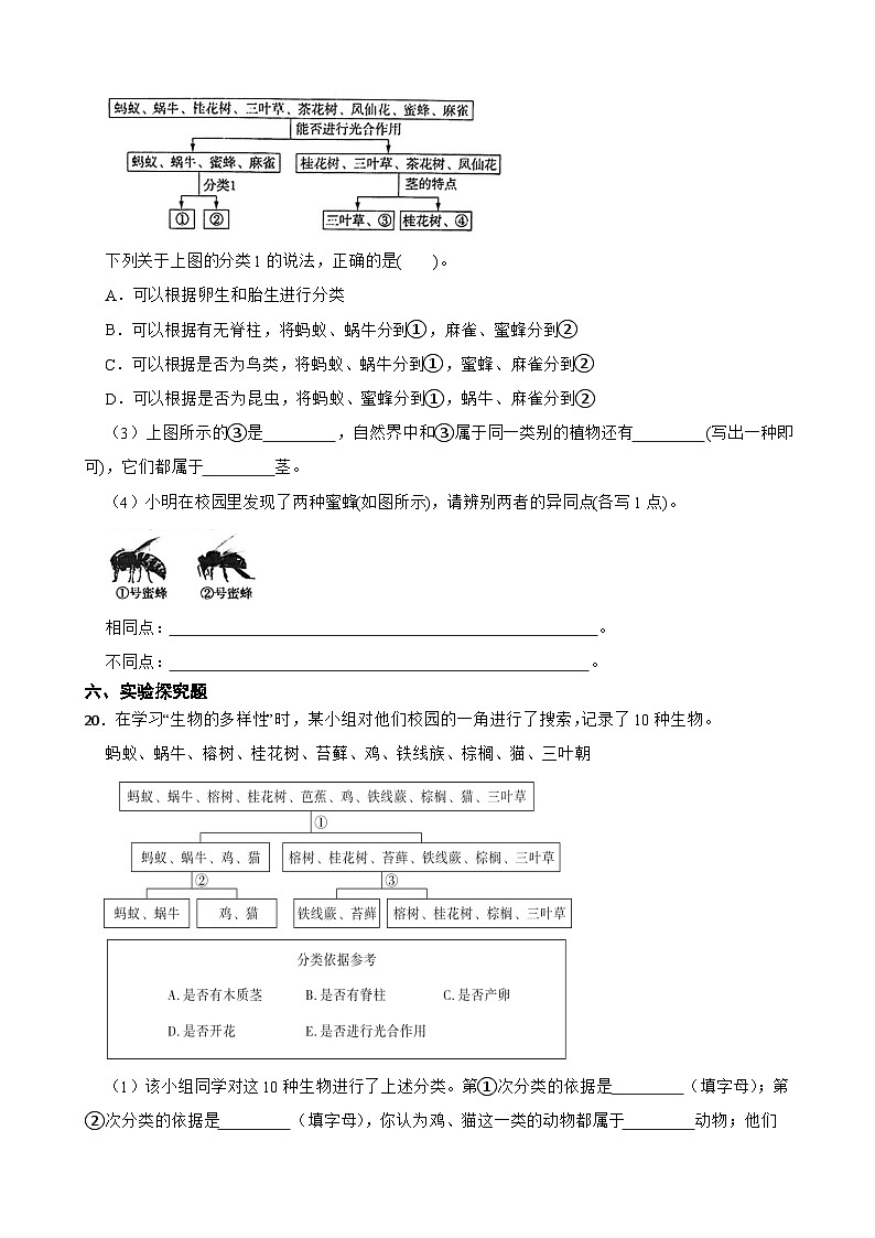教科版科学六年级下册第2单元 2《制作校园生物分布图》同步练习（含解析）第3页