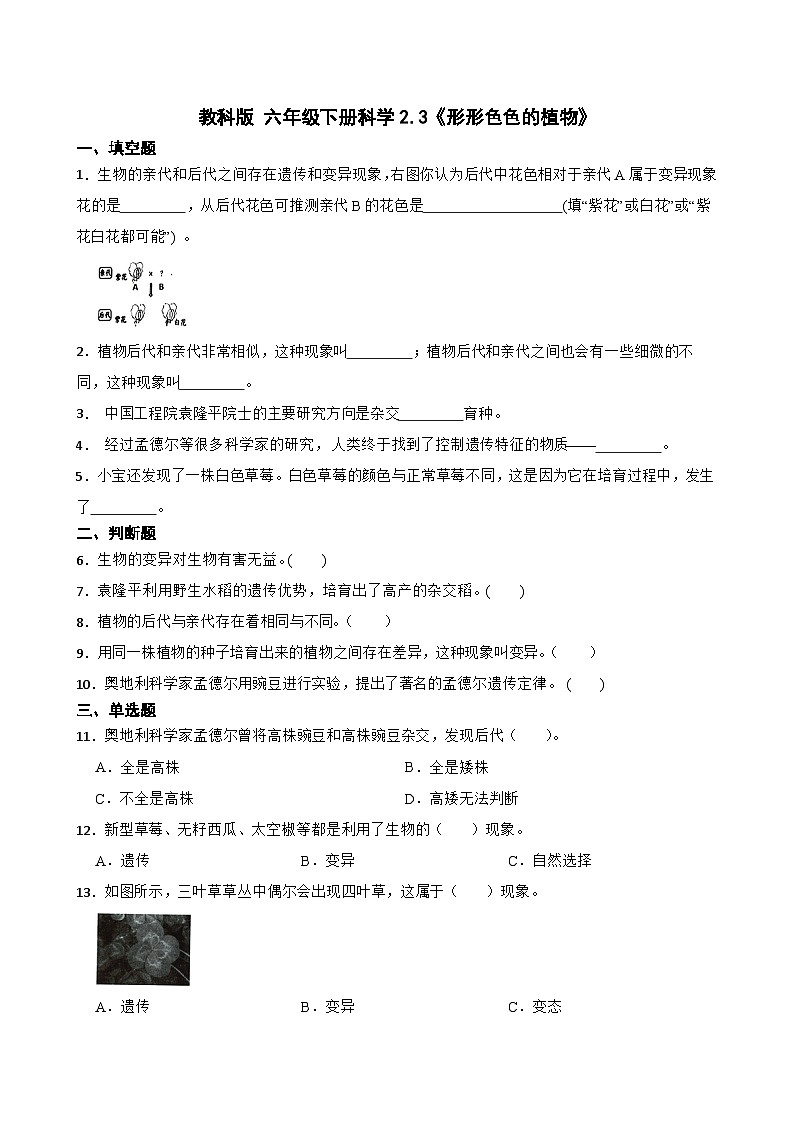 教科版科学六年级下册第2单元 3《形形色色的植物》同步练习（含解析）第1页