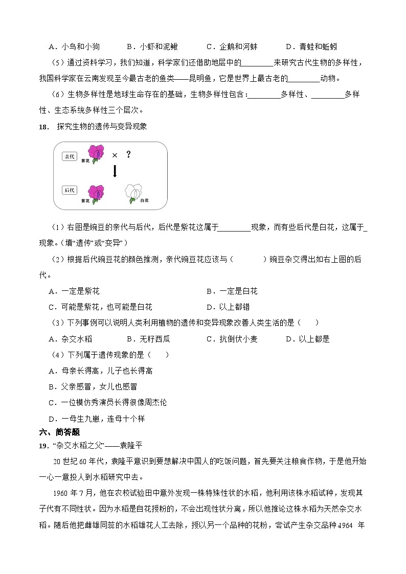 教科版科学六年级下册第2单元 3《形形色色的植物》同步练习（含解析）第3页