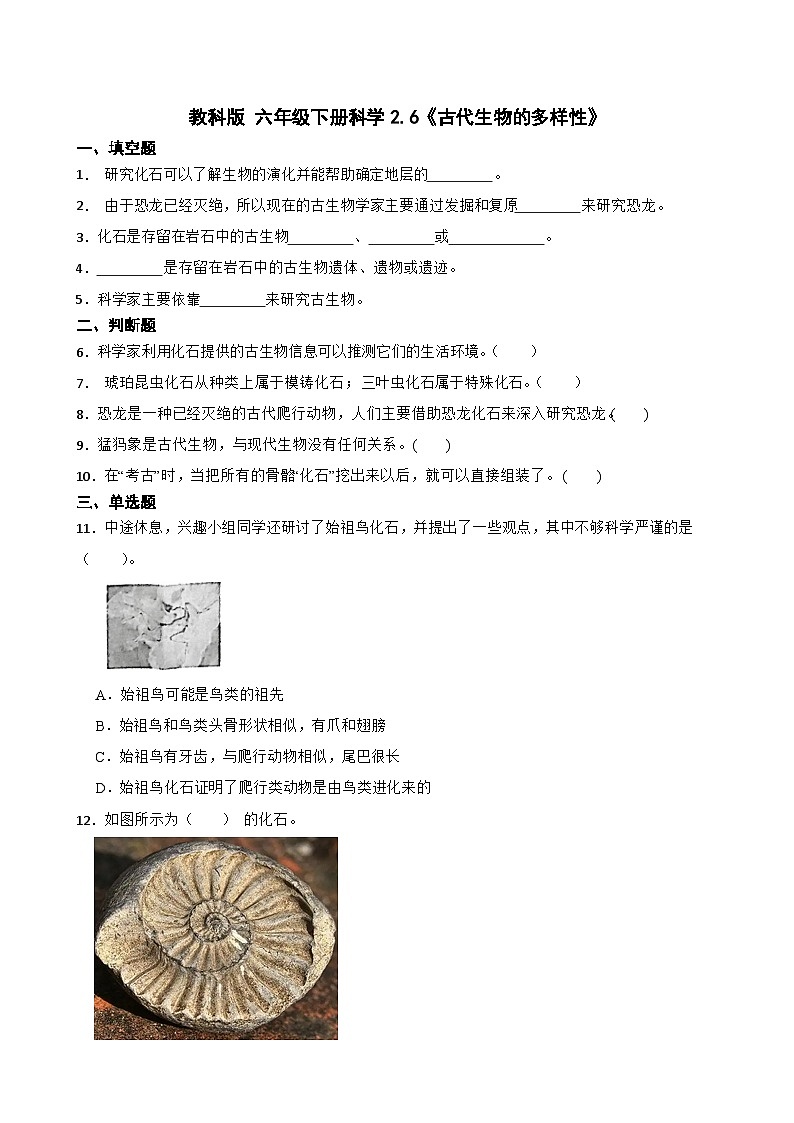 教科版科学六年级下册第2单元 6《古代生物的多样性》同步练习（含解析）第1页