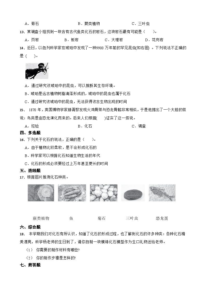 教科版科学六年级下册第2单元 6《古代生物的多样性》同步练习（含解析）第2页