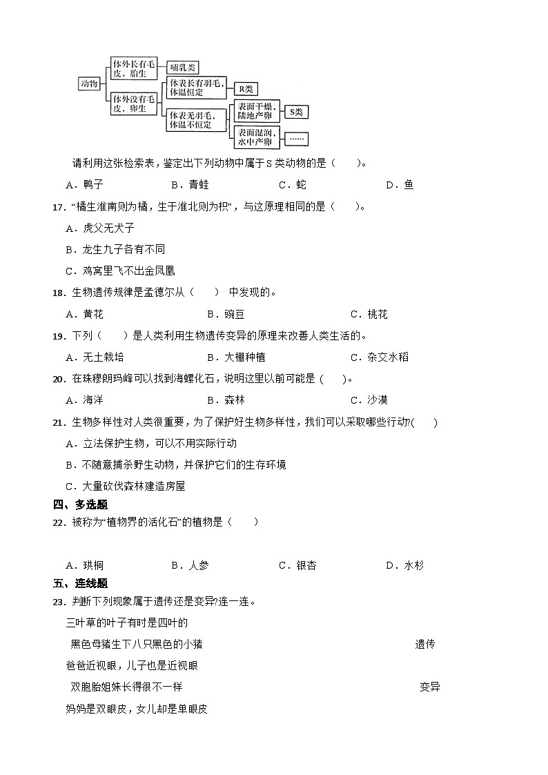 教科版科学六年级下册第二单元《生物的多样性》单元练习卷（含解析）第2页