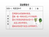 1.4《莖和葉》課件 教科版科學(xué)四年級下冊