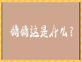 1.3《認識物體的形狀》課件 教科版科學(xué)一年級下冊