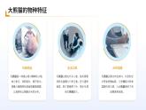 蘇教版小學六年級  科學     課件   大熊貓及其棲息地