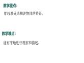 1.2024教科版一年級科學(xué)下冊1.1觀察物體的特征課件