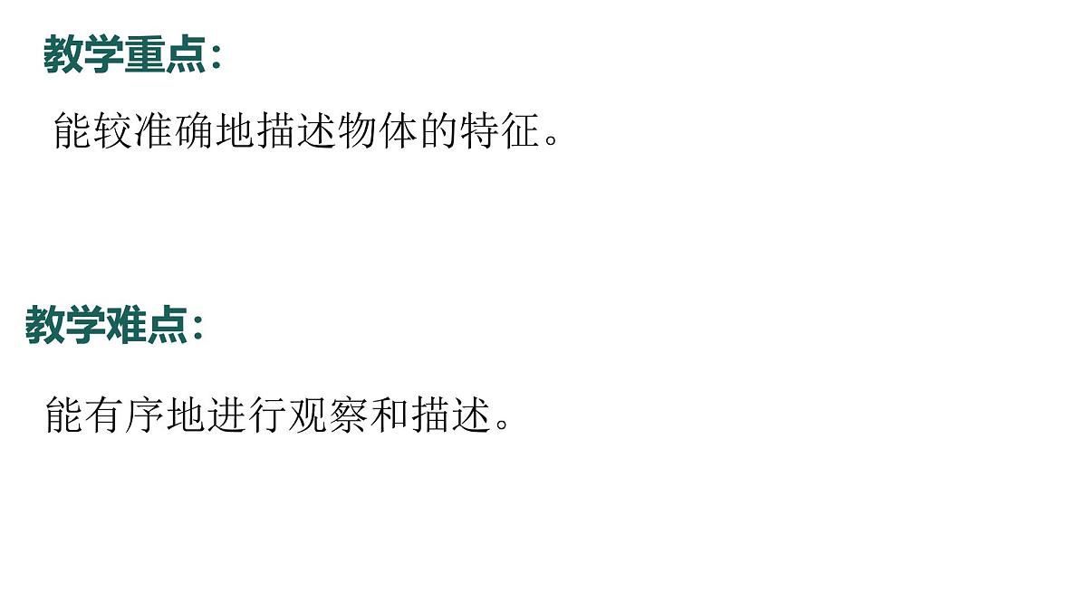 1.2024教科版一年级科学下册1.1观察物体的特征课件第4页
