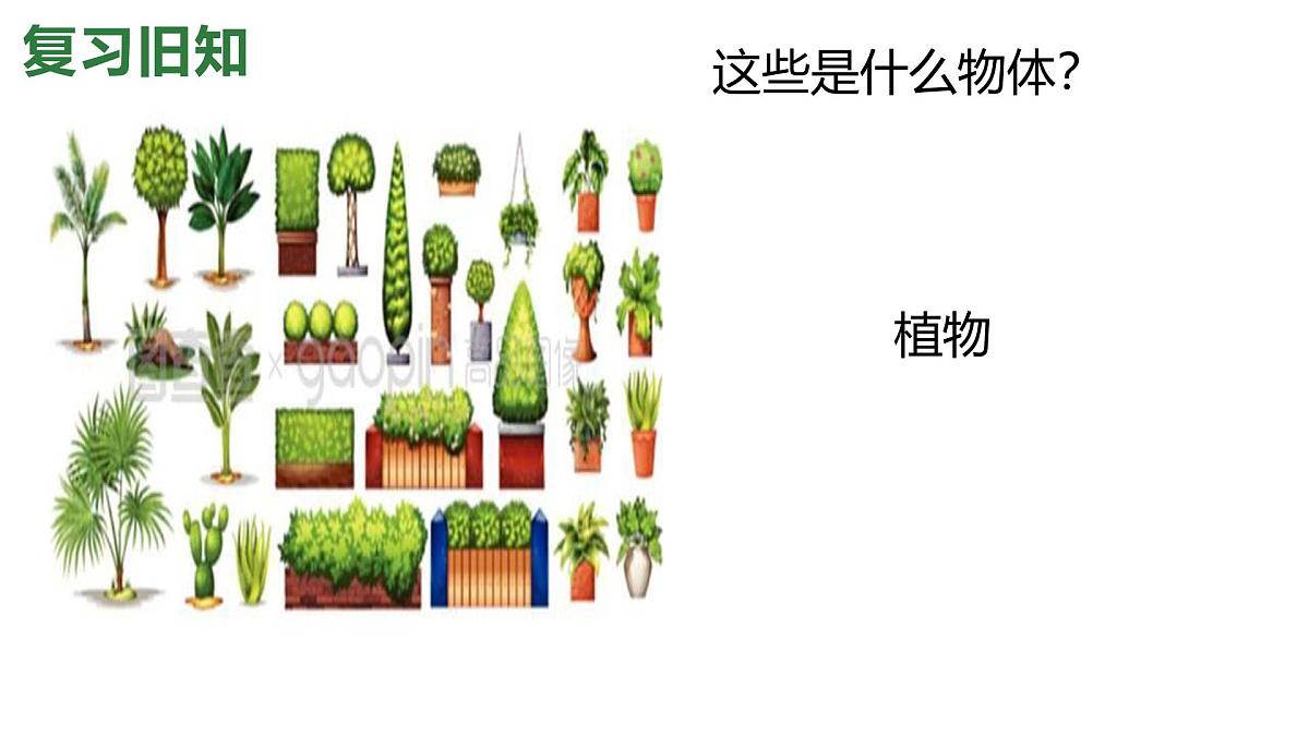 1.2024教科版一年级科学下册1.1观察物体的特征课件第8页