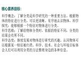 2.2024教科版一年級科學下冊1.2給物體分類課件