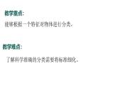 2.2024教科版一年級科學下冊1.2給物體分類課件