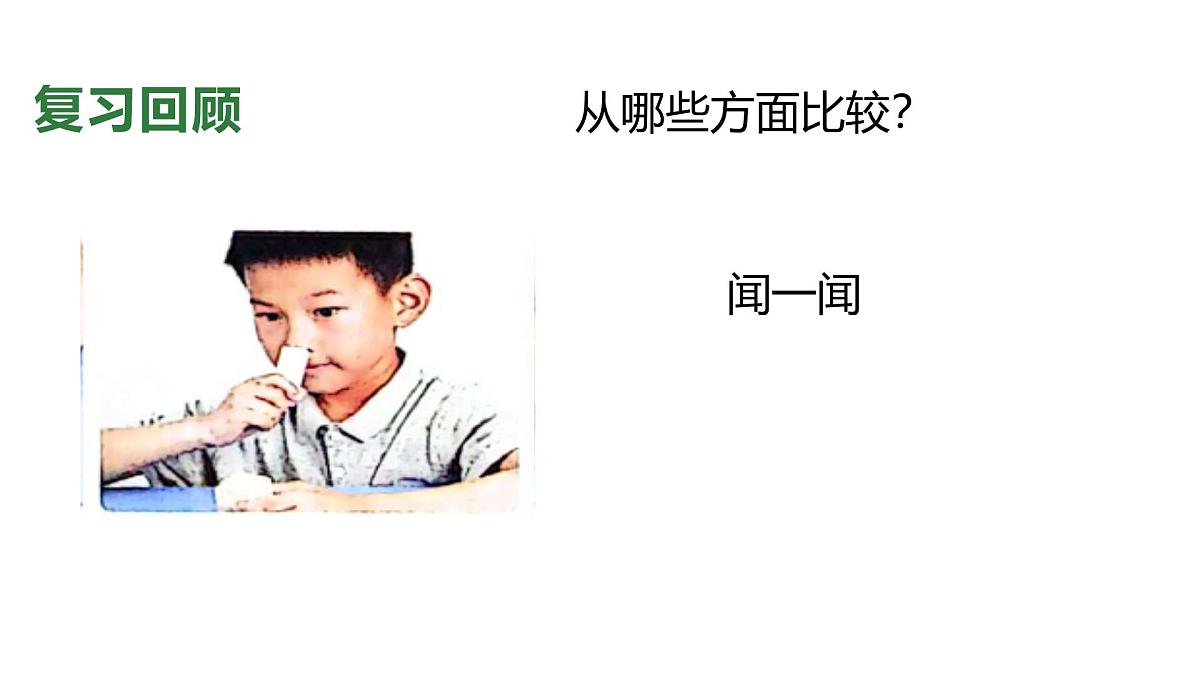 2.2024教科版一年级科学下册1.2给物体分类课件第8页