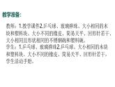 3.2024教科版一年級科學(xué)下冊1.3比較物體的輕重課件