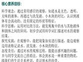 5.2024教科版一年級科學下冊1.5觀察一瓶水課件