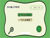 7.2024教科版一年級科學(xué)下冊1.7它們?nèi)ツ睦锪苏n件