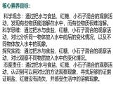 7.2024教科版一年級科學(xué)下冊1.7它們?nèi)ツ睦锪苏n件