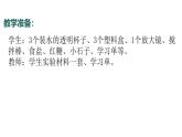 7.2024教科版一年級科學(xué)下冊1.7它們?nèi)ツ睦锪苏n件
