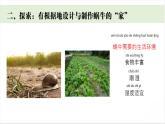 3.《給蝸牛建個(gè)“家”》課件 教科版科學(xué)一年級(jí)下冊(cè)