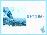 《觀察一瓶水》課件 教科版科學小學一年級下冊