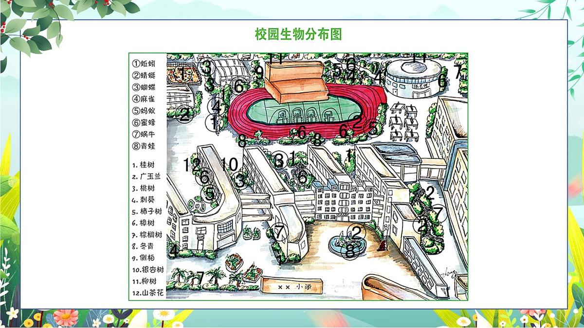 第2课《制作校园生物分布图》课件 教科版科学六年级下册第7页