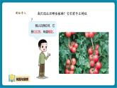 【優(yōu)質(zhì)公開(kāi)課】大象版科學(xué)一年級(jí)下冊(cè)3.2《常見(jiàn)植物的特征》教學(xué)課件+單元整體設(shè)計(jì)+課時(shí)教案