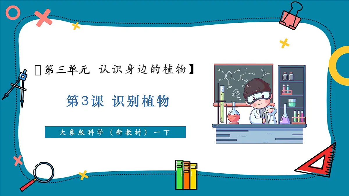 【大单元教学】3.3《识别植物》课时课件第1页