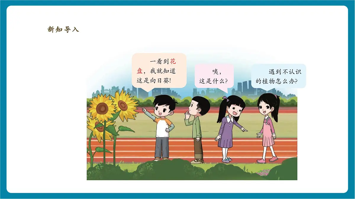【大单元教学】3.3《识别植物》课时课件第4页
