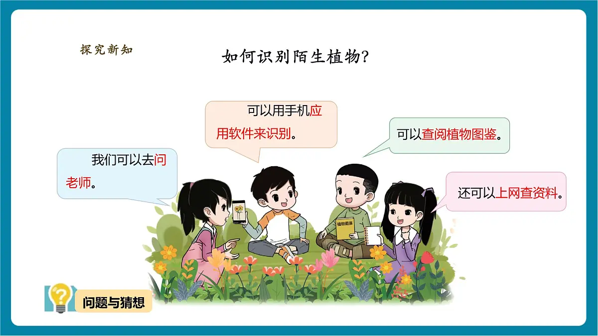 【大单元教学】3.3《识别植物》课时课件第5页