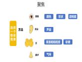 1.1《觀察物體的特征》課件 教科版科學(xué)一年級下冊