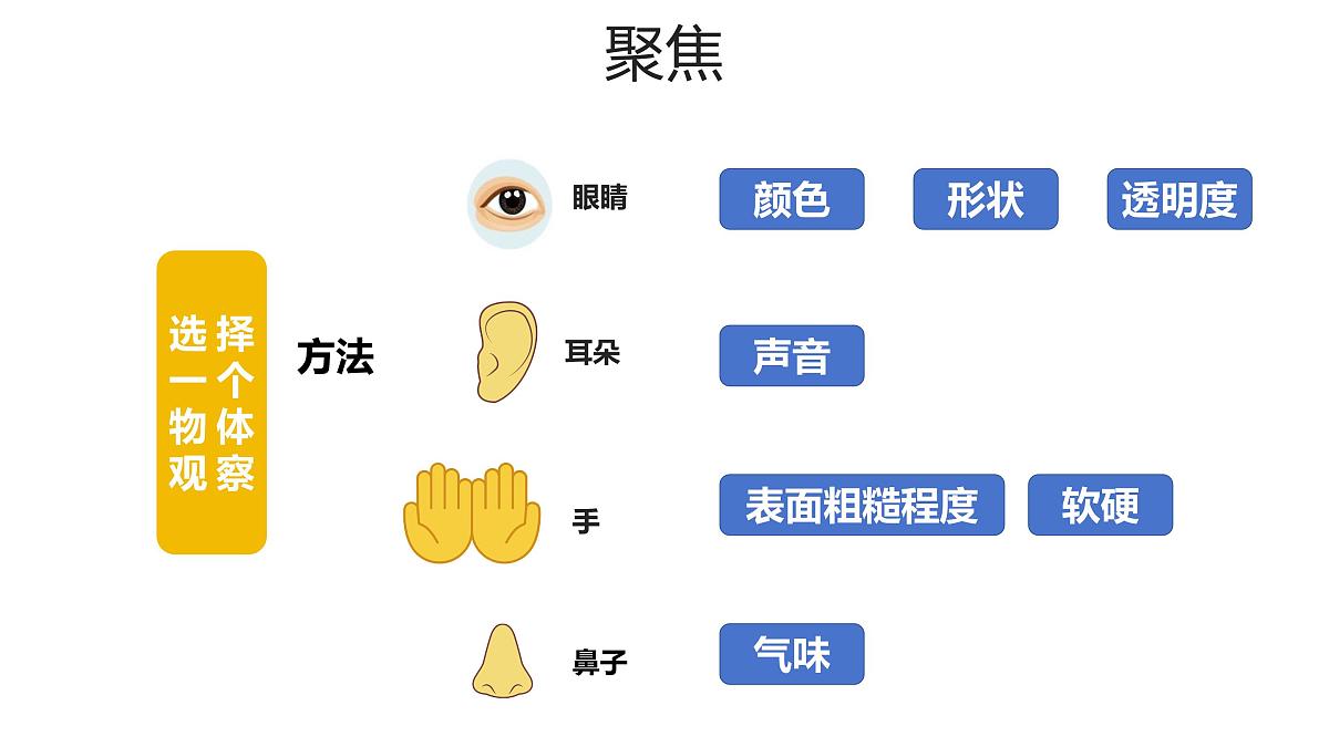 1.1《观察物体的特征》课件 教科版科学一年级下册第3页